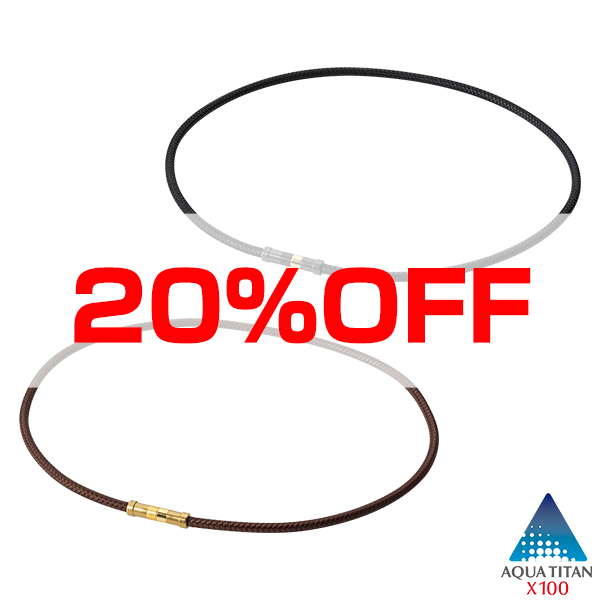 【20％OFF】RAKUWA磁気チタンネックレス Rex(管理医療機器)