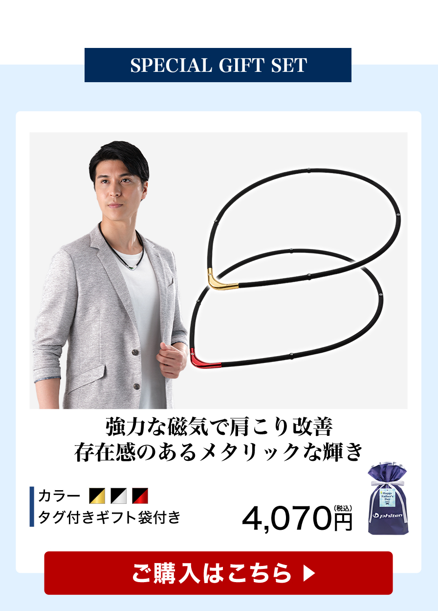 父の日ギフト(RAKUWA磁気チタンネックレスS-|| LIMITED MODEL)