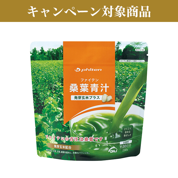 ファイテン桑葉青汁 発芽玄米プラス お徳用