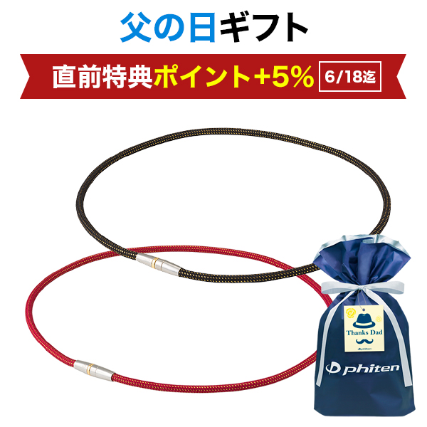 父の日ギフト(RAKUWA磁気チタンネックレス メタルトップ)