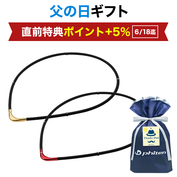 父の日ギフト(RAKUWA磁気チタンネックレスS-|| LIMITED MODEL)