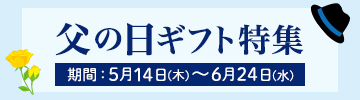 父の日ギフト(RAKUWA磁気チタンネックレス メタルトップ)