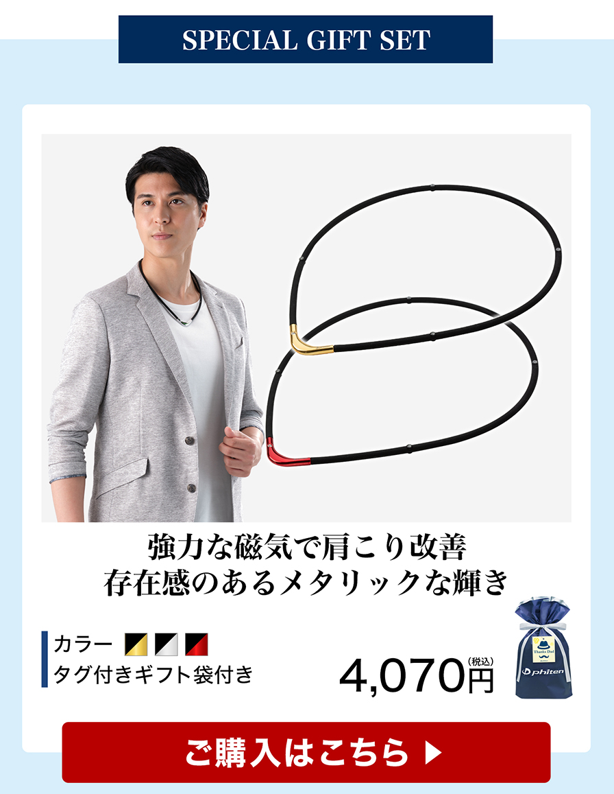 父の日ギフト(RAKUWA磁気チタンネックレスS-|| LIMITED MODEL)