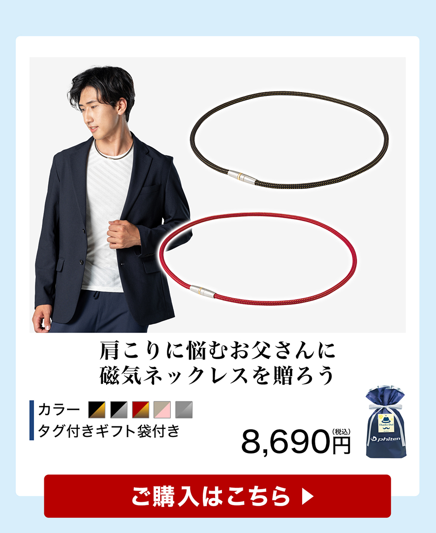 父の日ギフト(磁気ネックレス メタルトップ)