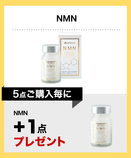 NMN×5点