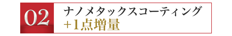 ナノメタックスコーティング+1点