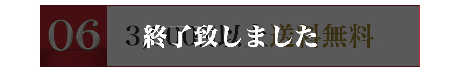 送料無料 終了致しました