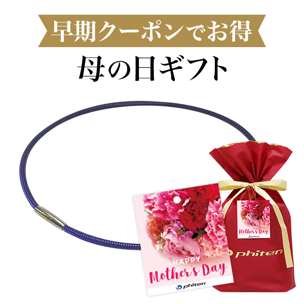 母の日ギフト(RAKUWA磁気チタンネックレス メタルトップ)