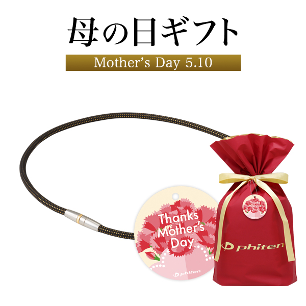 母の日ギフト(RAKUWA磁気チタンネックレス メタルトップ)