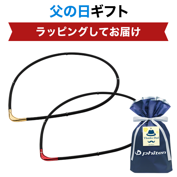 父の日ギフト(RAKUWA磁気チタンネックレスS-|| LIMITED MODEL)