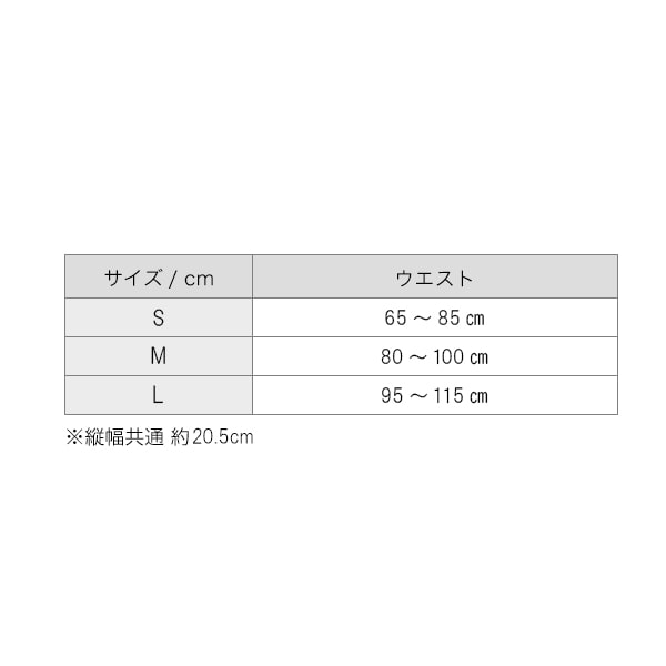 ファイテンサポーター メタックス 腰用ハードタイプ