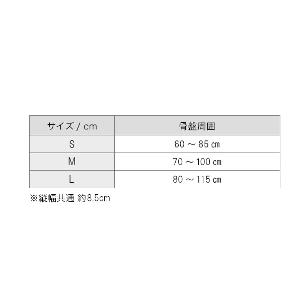 ファイテンサポーター メタックス 骨盤用ハードタイプ