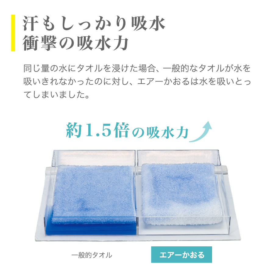 エアーかおる×phiten 消臭枕カバー