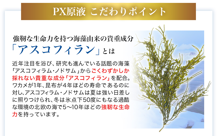 PX原液 12包【定期購入】 | ファイテン公式通販サイト【ファイテン