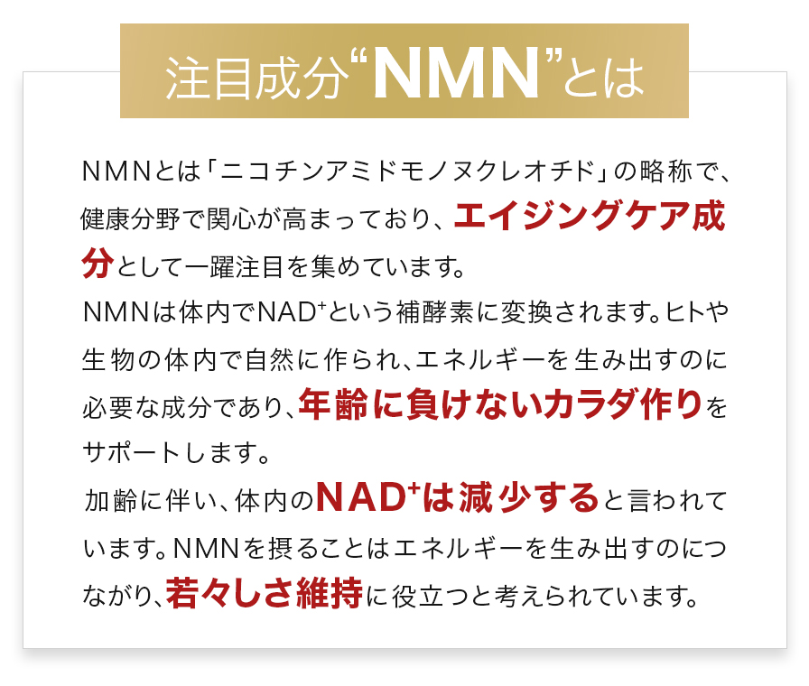 NMNとは「ニコチンアミドモノヌクレオチド」の略称で、健康分野で関心が高まっており、エイジングケア成分として一躍注目を集めています。