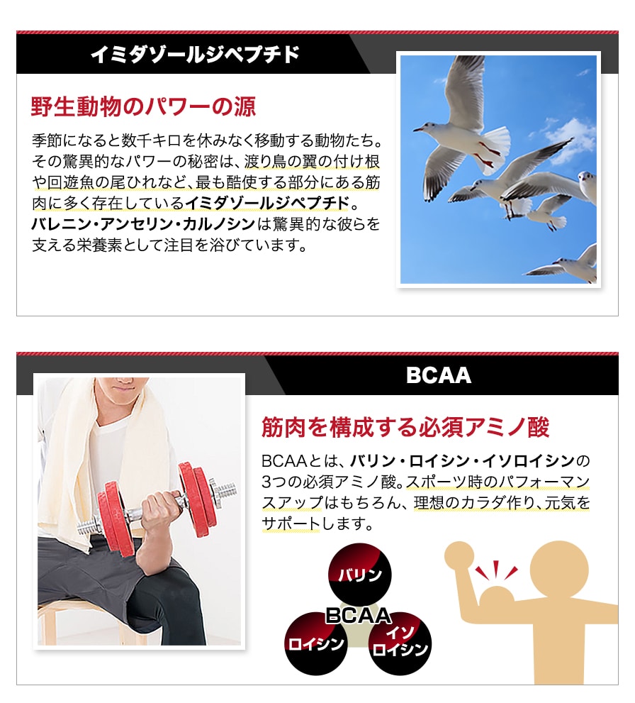 毎日の活力に ショップニュース ファイテンショップ ゆめタウン佐賀店 ショップ情報 ファイテン株式会社 Phiten 毎日の活力に ショップニュース ファイテンショップ ゆめタウン佐賀店 ショップ情報 ファイテン株式会社 Phiten