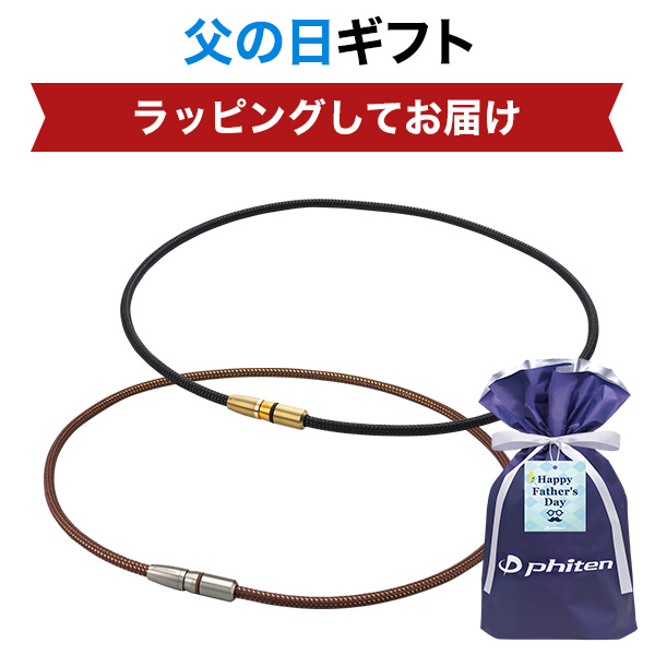父の日ギフト(RAKUWA磁気チタンネックレスBULLET)