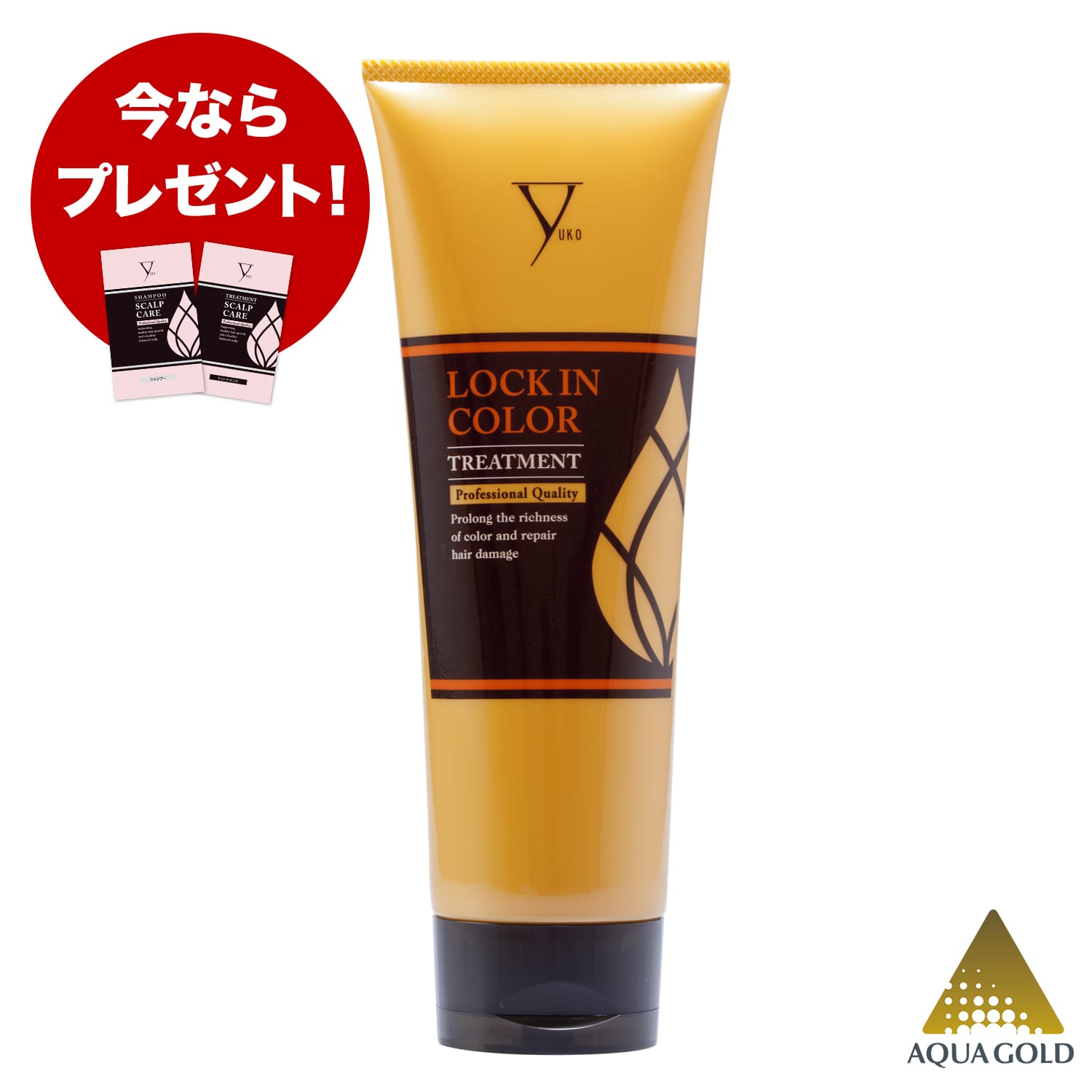 LOCK IN COLOR 240g 