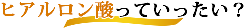 ヒアルロン酸っていったい？